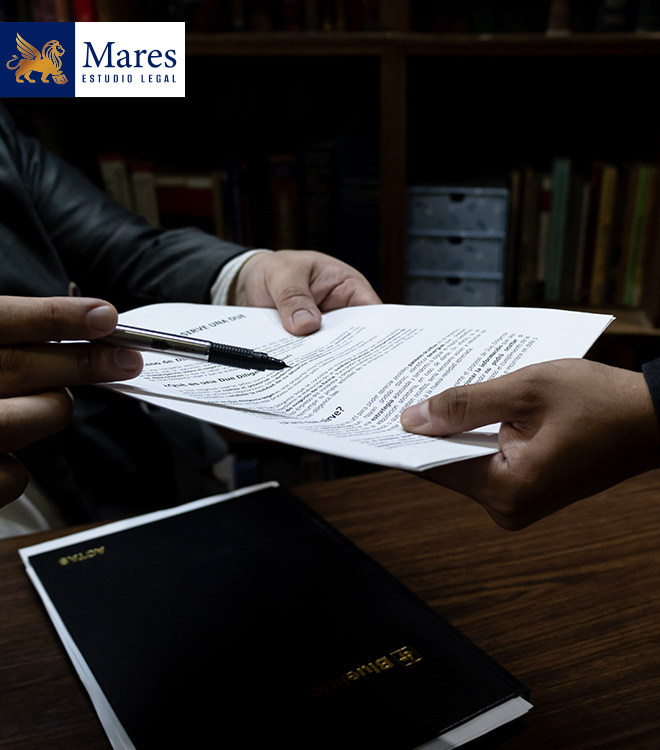 Professional Attorneys